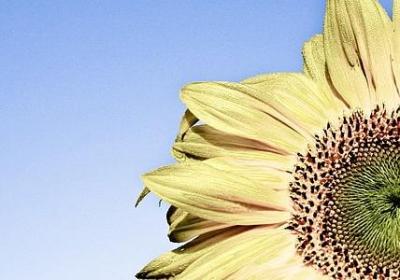 闯组词语有哪些(实用60句)