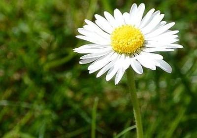 躁组词有哪些词语(21句)