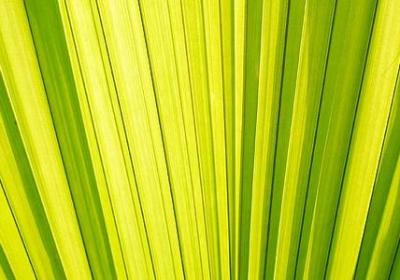 道德水平高的词语(汇总10句) 道德水平高的词语(汇总10句)