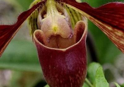 水浒传的名人名言(通用40句)