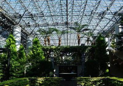 爱因斯坦的名言(合集49句)