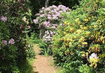 法语励志名言(合集60句)