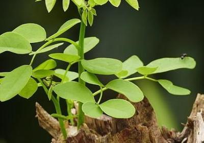 爱国主题的名言警句(共50句)