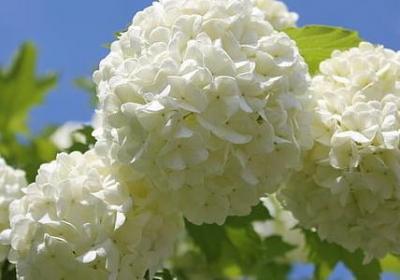 校园名言警句(必备119句)