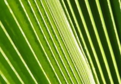 知足常乐的名言(合集60句)