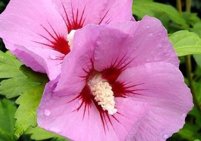 生命的名言名句(推荐40句)