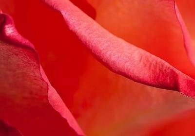 生活名人名言(推荐100句)