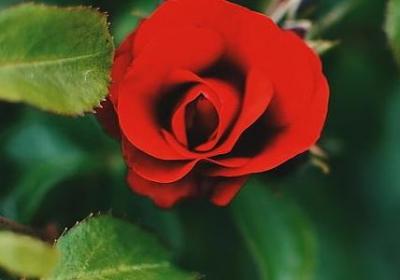 有关黄河的名言(合集42句)