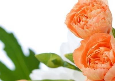 杨绛的名言名句(70句)