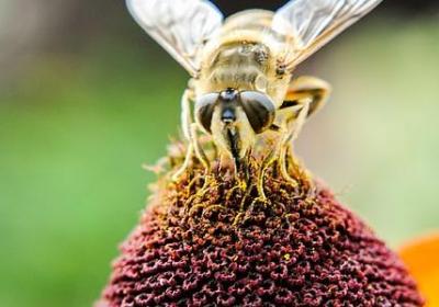 描写母爱的名言(共45句)