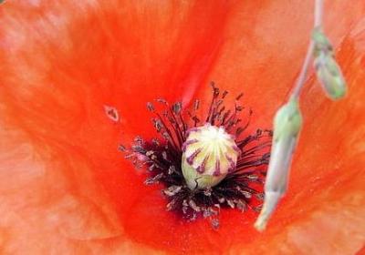 父母的爱的名言(优选60句)