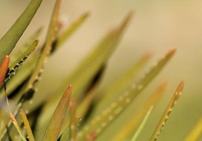 父爱的名人名言(10句)