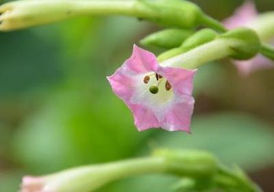 珍惜当下的名言(80句)