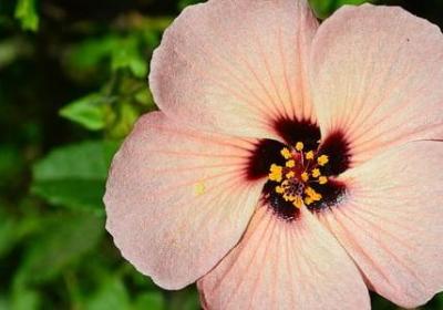 毕加索 名言(必备20句)