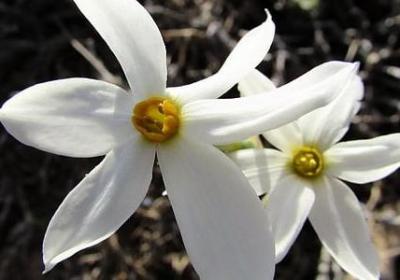 炒股名言名句(推荐60句)