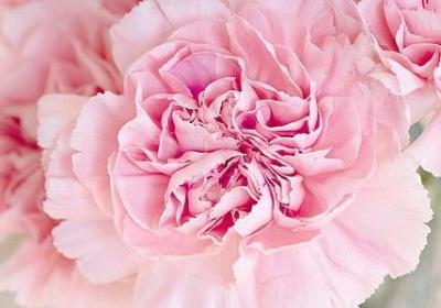 珍惜时间的名言名言(推荐79句)