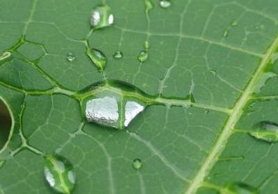 摘抄四字词语(必备60句) 摘抄四字词语(必备60句)