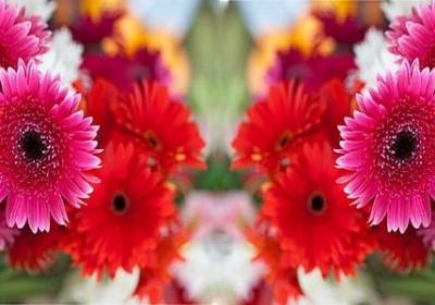 星星点点类似的词语(10句) 星星点点类似的词语(10句)