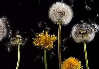 揪组词有哪些词语(合集71句)