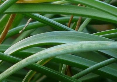 有数字的四字词语大全(必备48句)