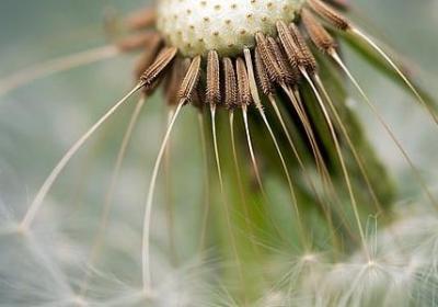 有关看的词语二字词语(共60句)