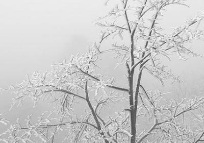 最美的两字词语(优选40句)