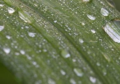 晰能组什么词语(推荐5句)