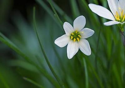 比喻很失望的词语(共80句)