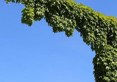 火红火红照样子写词语(精选50句)