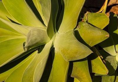 清凉的什么填词语(必备40句)