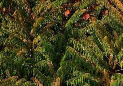 热情的什么填词语(精选10句)