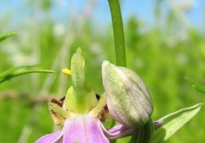 照样子写词语商量商量(实用80句)