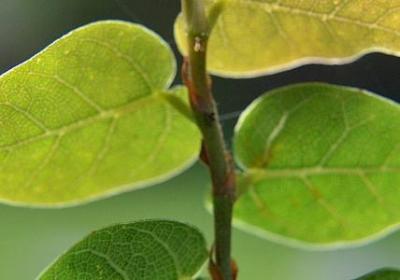 深深的什么填词语(汇总70句)