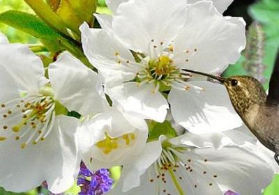 洁组词语有哪些(推荐16句)