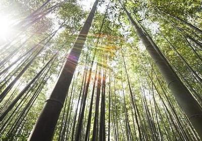 照样子写词语清清楚楚(推荐50句)