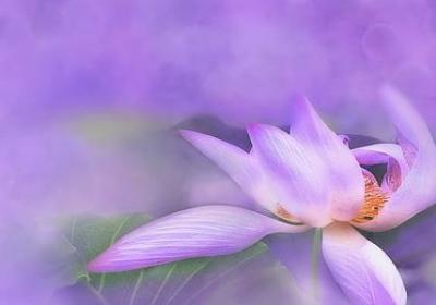 淼怎么组词语(合集41句)