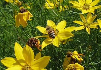 稍换偏旁组词语(15句)