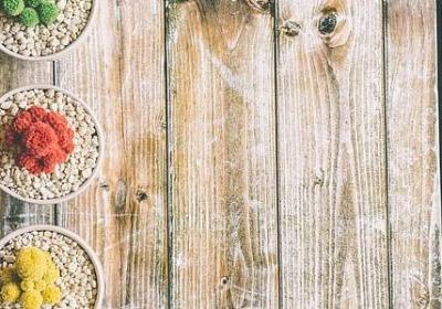 究竟的相近词语(汇总70句)