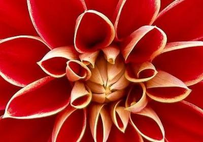 竖组词语有哪些(合集51句)