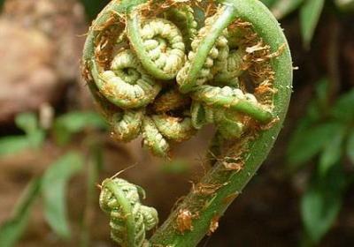 用组词语有哪些(合集10句)