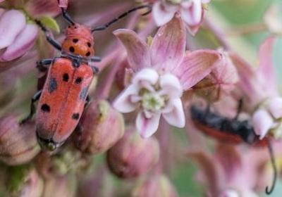 知道的很清楚的词语(推荐138句) 知道的很清楚的词语(推荐138句)