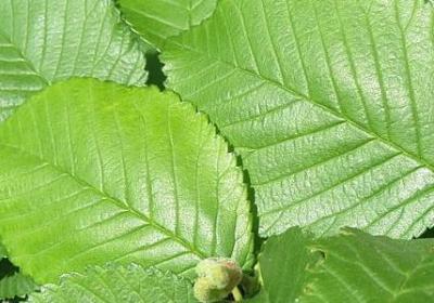 秋的颜色词语(共8句)