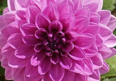 直加偏旁组词语有哪些(汇总51句) 直加偏旁组词语有哪些(汇总51句)