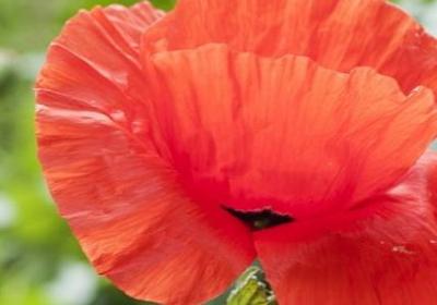 第二个和第四个是反义词的词语(汇总70句) 第二个和第四个是反义词的词语(汇总70句)