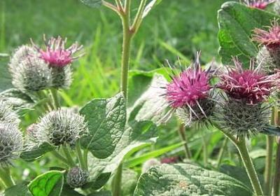 红旗词语接龙(共40句)