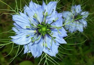 红墙对什么词语(通用67句)