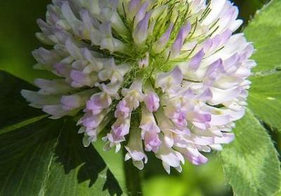 类似完备的词语(68句) 类似完备的词语(68句)