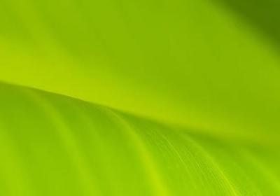 自然风景的词语(共10句)