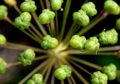 脾的四字词语(优选50句)