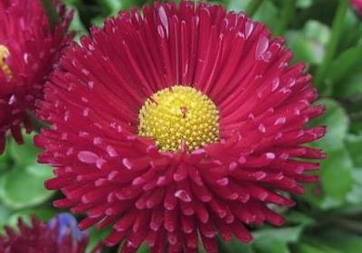 茎组词语有哪些(合集12句) 茎组词语有哪些(合集12句)